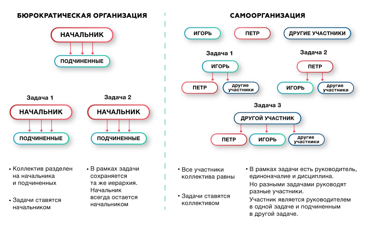 Самоорганизация